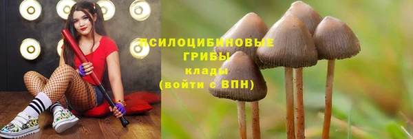 героин Верея
