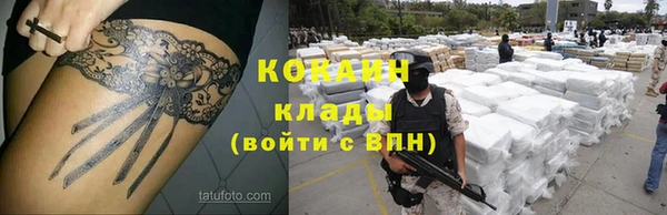 2c-b Бородино