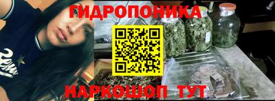 дмт Братск